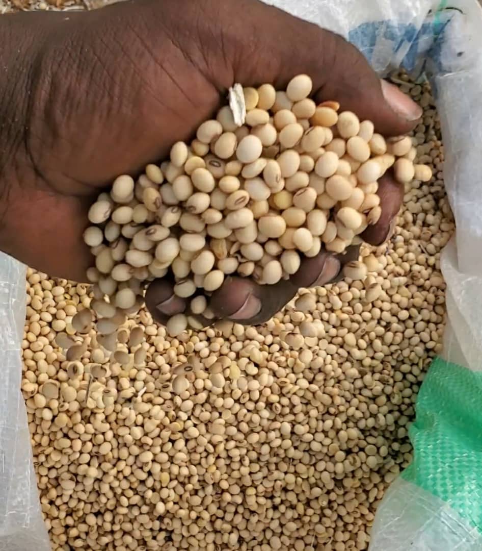Kitafarm grains